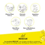 Fleurs de Bach Rescue Remedy Pets