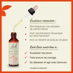 Fleurs de Bach Rock rose n°26