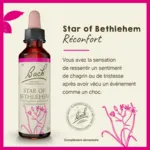 Fleurs de Bach Star of Bethlehem n°29