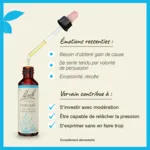 Fleurs de Bach Vervain n°31