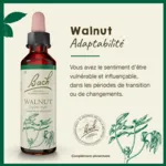 Fleurs de Bach Walnut n°33