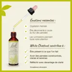 Fleurs de Bach White chestnut n°35