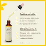 Fleurs de Bach Wild oat n°36