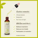 Fleurs de Bach Wild rose n°37