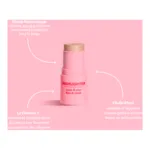 Merci Handy Duo Blush et Highlighter sticks