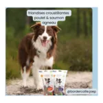 BF Petfood Friandises pour chien à l'agneau