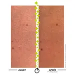 Garancia Formule Ensorcelante Anti peau de croco