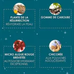 Garancia Bal masqué des Sorciers Masque liftant hydratant repulpant