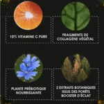 Garancia l'Appel de la Forêt poudre magique éclat & jeunesse