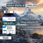 Granions Shilajit 1000 mg gélules