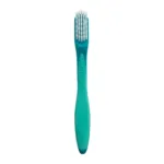 Gum brosse pour prothèse dentaire