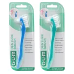 Gum brosse pour prothèse dentaire