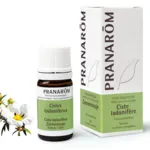 Pranarom huile essentielle Ciste ladanifère