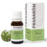 Pranarom huile essentielle Niaouli