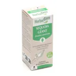 HerbalGem Sequoia géant