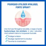 Hyalugel Forte Spray buccal