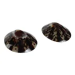 Mom's Shell Coquillage d'allaitement