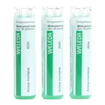Weleda Arnica montana 6DH granules homéopathiques pack de 3