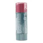 Dermophil Indien stick lèvre hydratant teinté prunelle