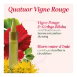 Super Diet Quatuor Circulation Bio unidoses