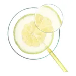Klorane shampoing Vitalité au Cédrat