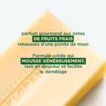 Klorane Shampoing Solide à la Mangue
