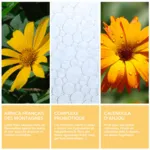 Krème Crème mains concentrée Bio
