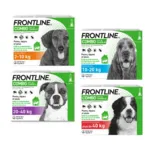 Frontline COMBO pipettes anti puce pour chien