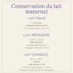 Lansinoh pots de conservation de lait maternel