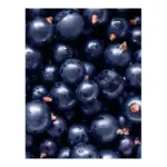 Pukka Tisane Ciel étoilé de fruits rouges biologique sachets