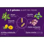 Lehning Diacure gélules