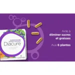Lehning Diacure gélules