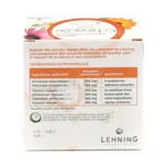 Lehning Echinacée n°40