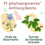 Naturactive Doriance Autobronzant et protection capsules