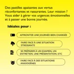 Fleurs de Bach Rescue pastilles Fruits rouges