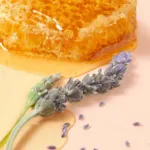 Nuxe Rêve de miel Soin lèvres au miel