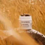 Oenobiol Hair Expert Chute de cheveux Anti Age comprimés