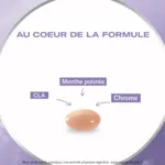 Oenobiol Ventre plat capsules