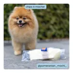 BF Petfood os à mâcher