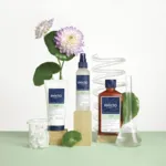 PhytoVolume Spray brushing volumateur