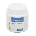 Pileje Unibiane Potassium comprimés