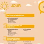 Pranarom Aromaforce Coups de froid Jour Nuit capsules