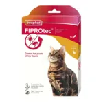 Beaphar Fiprotec chat pipettes anti puce