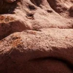 Endro Huile lactée démaquillante bio