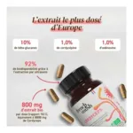 French Mush Cordyceps Bio gelules