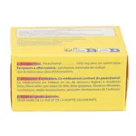 Doliprane 1000 mg poudre en sachets