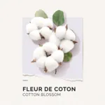 Solinotes Eau de Parfum Fleur de Coton