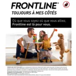 Frontline chat pipette anti puce