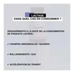 Nat et Form Lactase  gélules