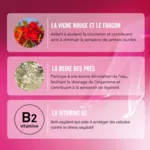 Veinoflux Jambes légères et toniques gélules
